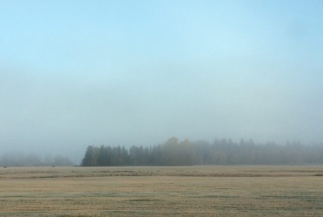Looduskultuuri seminar: Loodushoiu sõnumid